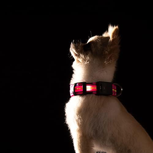 USB Rechargeable Dog Collar Light with Reflective Strips, Waterproof & Adjustable, Bright LED Light for Night Walking, Safety Glow Collar for Dogs