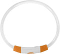 LED Dog Collar, USB Rechargeable Promote Visibility Dog Glow Collar for Outdoor Walking (Orange)