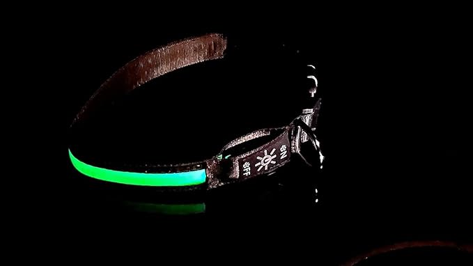 Glow Fetch It! HD Ultra Bright LED Safety Dog Collar, Adjustable, USB Rechargeable with 3 Modes, Water Resistant, Extremely Durable and Easy to Clean (Green, Medium)