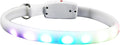 USB Rechargeable LED Dog Collar Waterproof Luminous Pet Collar for Evening Use