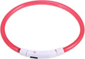 Totority Led Glowing Pet Dog Collar USB Rechargeable -Saving Light for Night Safety for Evening Walks and Outdoor Adventures