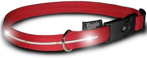 Nylon Collar With Led Lights Small Red / White