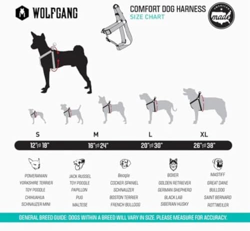 Wolfgang Heavy Duty Adjustable Dog Harness, Pull-Tested to Over 800 lbs for Walking & Training, DigiFloral Print, Large