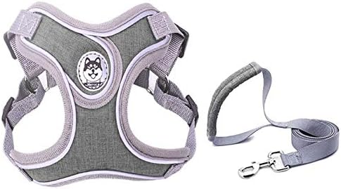 No pull dog camisole reflective small dog leash and collar for small schnauzer pet cat walking training supplies Chihuahua XS gray