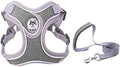 No pull dog camisole reflective small dog leash and collar for small schnauzer pet cat walking training supplies Chihuahua S gray