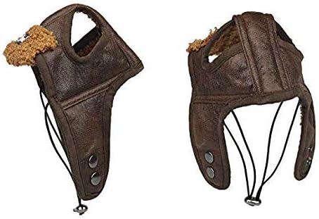 Leconpet Dog Aviator Hat, Dog Winter Pilot Hat with Ear Flaps for Cold Weather (M, Brown)
