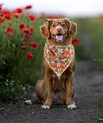Lionheart glory Dog Bandana 1 Pack Washable Soft Cotton Flower Print Bibs Scarf, Adjustable Kerchief Square Dog Bandanas for Small Dogs