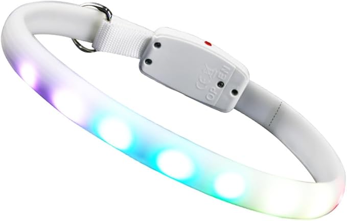LED Dog Collar USB Charging Glowing Pet Collar White Flashing for Dogs Outdoor Walking