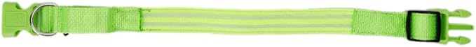 LED Dog Collar - USB Rechargeable for Night Safety(Neno Green Color,Large Size)
