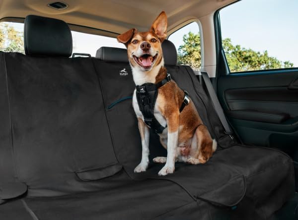 Kurgo Rover Extended Bench Seat Cover for Dogs, Dog Car Bench Seat Covers, Back Seat Cover Protector for Pets, Water Resistant, Contains Seat Anchors, Scratch Proof, 63" Wide for SUVs and Trucks