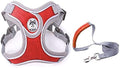 No pull dog camisole reflective small dog leash and collar for Schnauzer pet cat walking training supplies Chihuahua S red