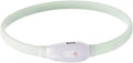 GALPADA 1set USB Rechargeable Pet Collar Led Dog Collar for Night Safety Comfortable Fit for Evening Walks and Visibility