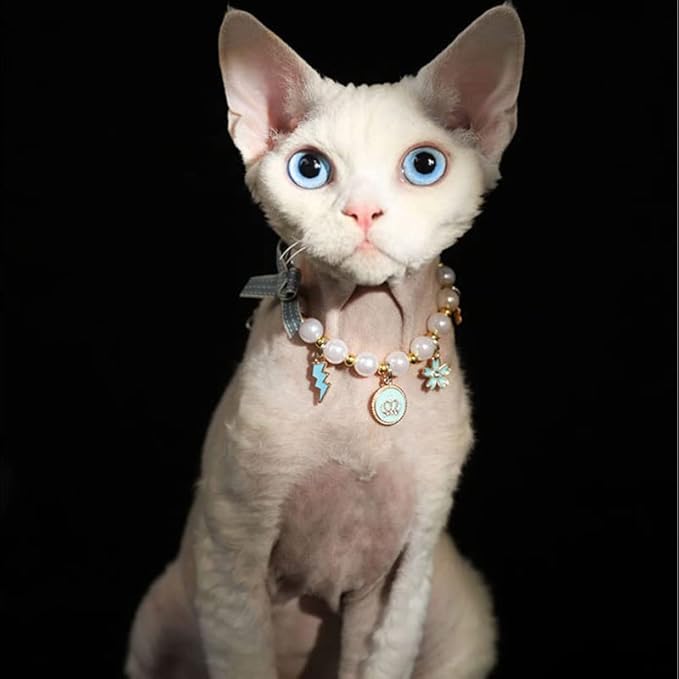 Pet Collar with Pearl Pendant, Dog or cat Pearl Necklace, Fashion Accessory for Cat or Dog, Elegant and Premium Design, Designs (Blue, S 20-25cm(Neck Girth))