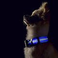 USB Rechargeable Dog Collar Light with Reflective Strips, Waterproof & Adjustable, Bright LED Light for Night Walking - Safety for Dogs