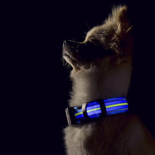 USB Rechargeable Dog Collar Light with Reflective Strips - Waterproof Adjustable LED Collar for Night Walking, Bright Illumination for Enhanced Safety
