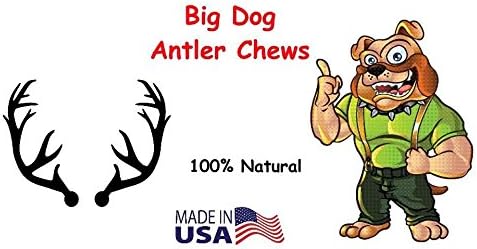 Elk Antler Dog Chew, Extra Large Tine, 8-12 inches, XL - Great for Large Dogs and Puppies
