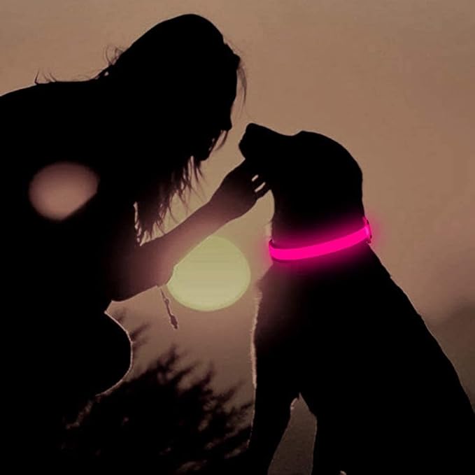 BSEEN Light Up Dog Collars - Reflective LED Dog Collar, Adjustable Puppy Collar, Rechargeable Dog Camping Gear Dog Collar Light for Small Medium Large Dogs (Large, Pink)