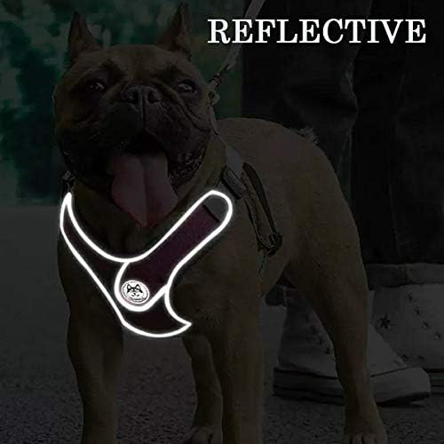 No pull dog camisole reflective small dog leash and collar Schnauzer pet cat walking training supplies Chihuahua S purple