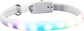 HEMOTON LED Dog Collar Luminous Glowing Pet Collar USB Rechargeable Waterproof Night Safety