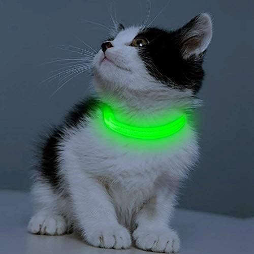 Candofly Light Up Dog Collar - LED Dog Collar Rechargeable - Glowing Puppy Collar Dog Lights for Night Walking (X-Small, Neon Green)