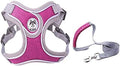 No pull dog camisole reflective small dog leash and collar Schnauzer pet cat walking training supplies Chihuahua S purple