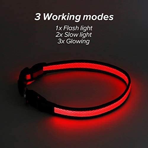LED Dog Collar (L (53 60cm), Red) - USB Rechargeable Pet Collar Glows with Night Safety LEDs, Lights Up with Nylon Tape and Reflective - Perfect for Small, Medium and Large Dogs by The Small Moment