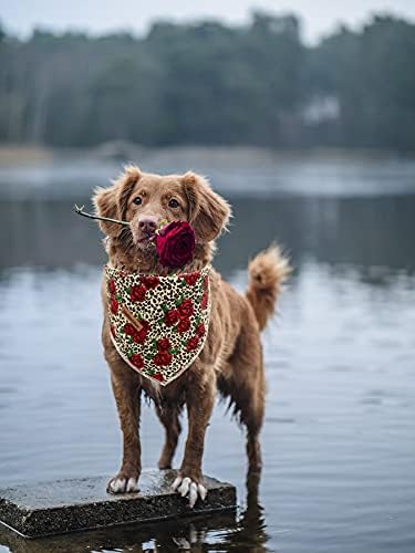 Lionheart glory Dog Bandana 1 Pack Washable Soft Cotton Rose Leopard Bibs Scarf, Adjustable Kerchief Square Dog Bandanas for Small Dogs