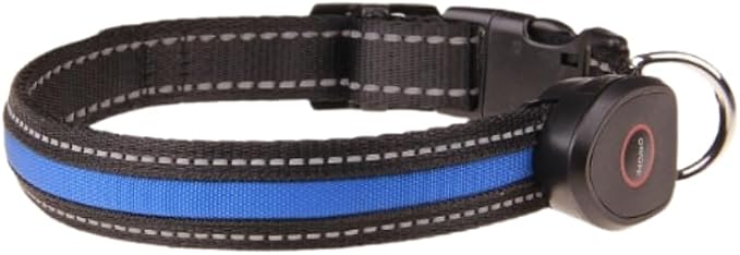 FUR-Safety Dog LED Collar - Animal Collar, Nylon, High Visibility, Adjustable Light Modes - S/M/L, Blue/Green/Orange/Pink/Red/Yellow - for Outdoor Night Activities (Blue, Large)