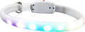 USB Charging LED Dog Collar Luminous Pet Collar Glowing Night Walking Safety Light Adjustable White
