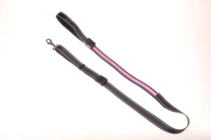 LED Dog Collar and Leash Light USB Rechargeable Color Changing, Glow in The Dark Dog Collars and Leash Waterproof (Pink, Collar Large + Leash)
