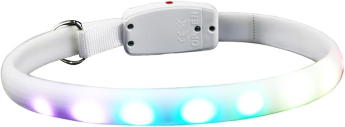 Housoutil LED Dog Collar USB Charging Luminous Pet Collar Waterproof Glowing Dog Neck Strap for Evening Walks and Safety