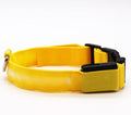 LED Dog Collar, Light Up Dog Collars, Adjustable USB Rechargeable Glow in The Dark Dog Collars High Visibility Glowing Dog Collars for Large Medium and Small Dogs (X-Large,Yellow)