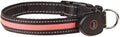 FUR-Safety Dog LED Collar - Animal Collar, Nylon, High Visibility, Adjustable Light Modes - S/M/L, Blue/Green/Orange/Pink/Red/Yellow - for Outdoor Night Activities (Orange, Small)
