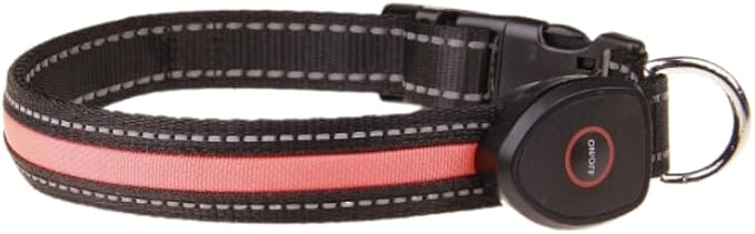 FUR-Safety Dog LED Collar - Animal Collar, Nylon, High Visibility, Adjustable Light Modes - S/M/L, Blue/Green/Orange/Pink/Red/Yellow - for Outdoor Night Activities (Orange, Small)