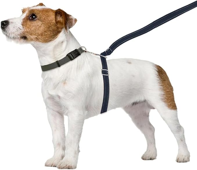 ThunderLeash No-Pull Dog Leash (Small (12 to 25 lbs), Black)