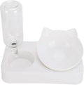 Pssopp Double Pet Feeder Bowl, 15 d Tilted Food Water Feeder with Automatic Waterer Bottle, for Small Medium Size Pets, Made of Premium PP Material, No Require of Extra Bowls (L)