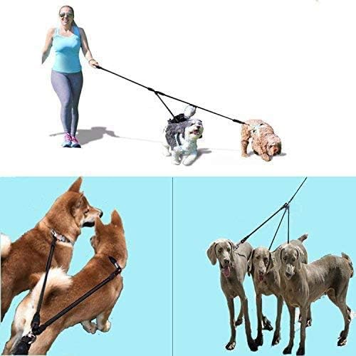 Heavy Duty 3 Dog Leash for Small Dogs No Tangle Detachable 360° Swivel Device with Padded Handle for Two/Three Pets