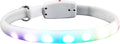 LED Dog Collar USB Rechargeable Waterproof Glowing Pet Collar White Light for Night Walking Safety