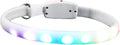 LED Dog Collar Rechargeable Waterproof Pet Collar Luminous Flashing Glowing for Night Walking