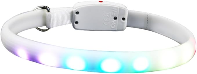 LED Dog Collar Rechargeable Waterproof Pet Collar Luminous Flashing Glowing for Night Walking