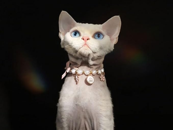 Pet Collar with Pearl Pendant, Dog or cat Pearl Necklace, Fashion Accessory for Cat or Dog, Elegant and Premium Design, Designs (Pink, S 20-25cm(Neck Girth))