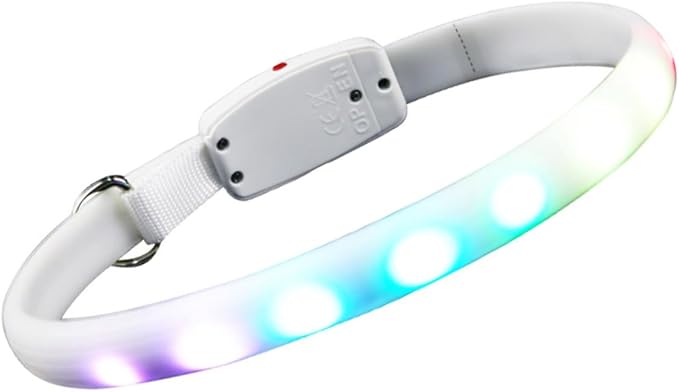 GALPADA USB Charging LED Dog Collar Glowing Pet Collar White Night Light for Walking