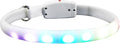 Luxshiny LED Pet Collar USB Rechargeable White Glowing Dog Collar Night Safety Flashing Luminous for Outdoor Walks