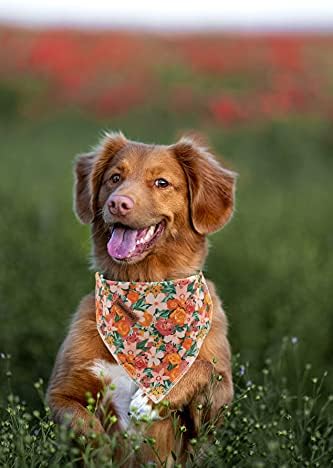Lionheart glory Dog Bandana 1 Pack Washable Soft Cotton Flower Print Bibs Scarf, Adjustable Kerchief Square Dog Bandanas for Small Dogs