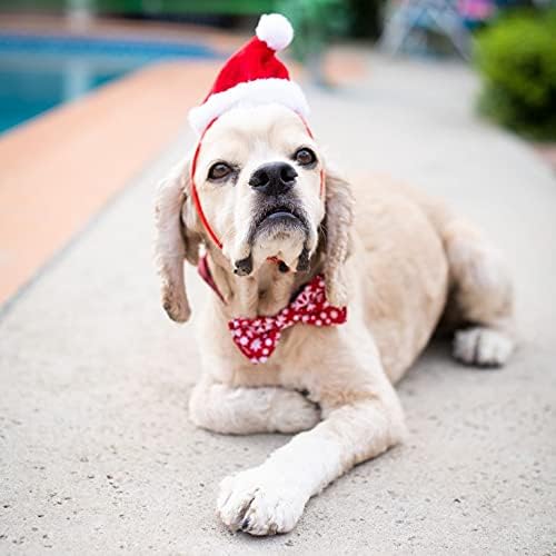 Huxley & Kent Pet Hat | Santa (Small) | Festive Christmas Holiday Accessory for Dogs/Cats | Holiday Pet Hat | SnugFit Sliding Toggles for Best Fit