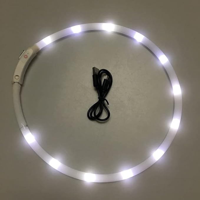 HUFFA LED Glowing Dog Collar USB Charging Pet Dog Collar Night Luminous Dog Collars Rechargeable Night Safety Flashing Necklace (Color : W, Size : L-01)