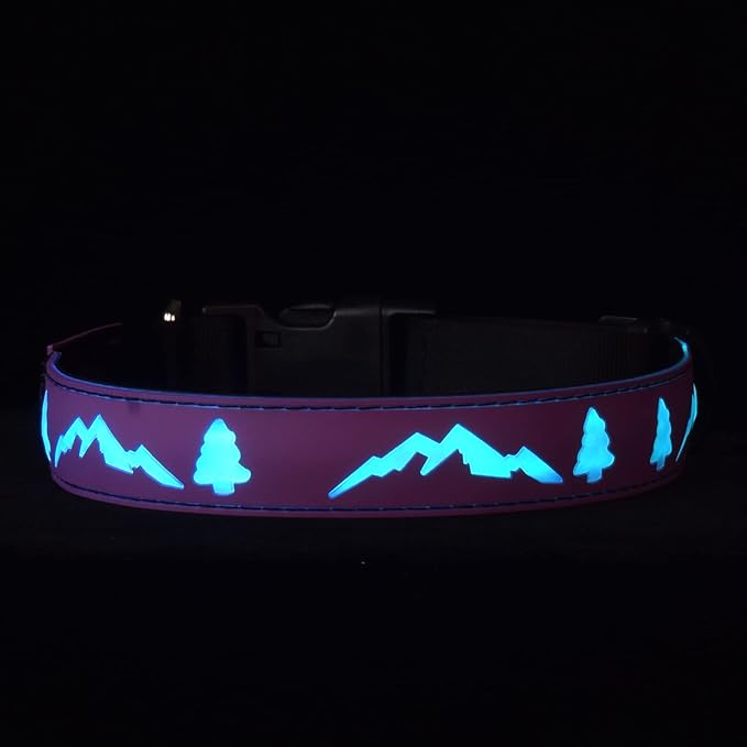 LED Dog Collar, 15 Light Modes, USB-C Rechargeable, Silicone Material, Adjustable Size, (Purple, M(11.8-15.7"))