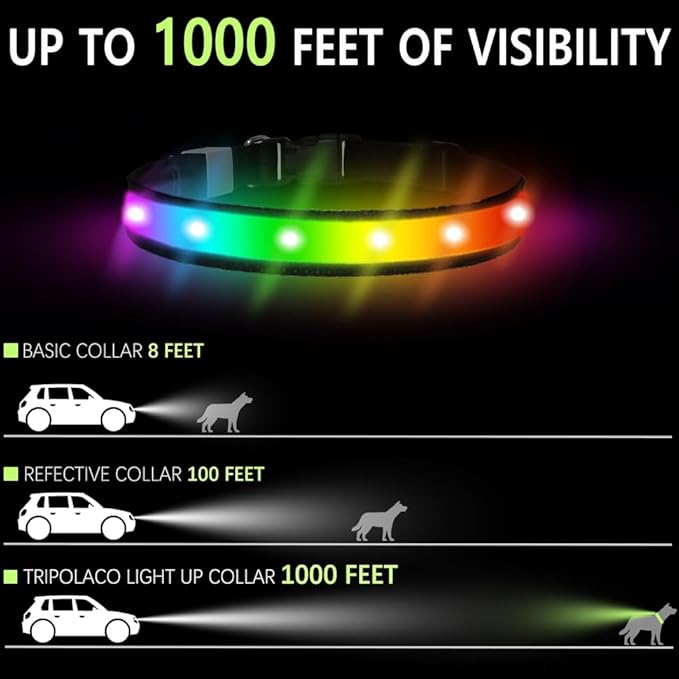 LED Dog Collar, Multicolor Light Up Dog Collar, USB Rechargeable & High-Visibility Glow in The Dark Dog Collars for Night Walks, IPX7 Waterproof, Large