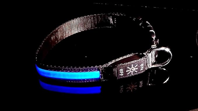 Glow Fetch It! HD Ultra Bright LED Safety Dog Collar, Adjustable, USB Rechargeable with 3 Modes, Water Resistant, Extremely Durable and Easy to Clean (Blue, Medium)