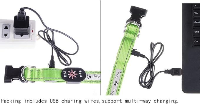 Pet Cat Dog Led Collar Flash Light Removable USB Rechargable with Wire Nylon Material for Night Walking Safety Warning (Green M)